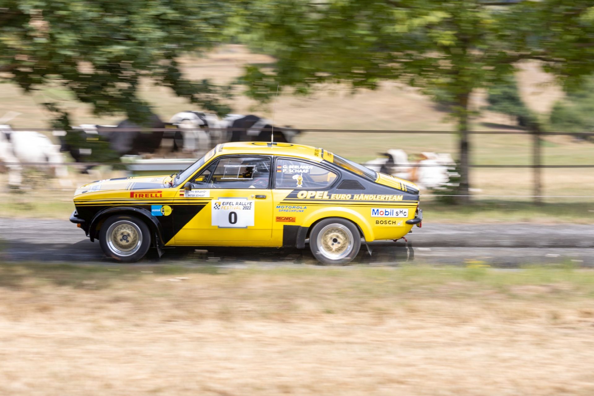 3B9A9095 (2)
